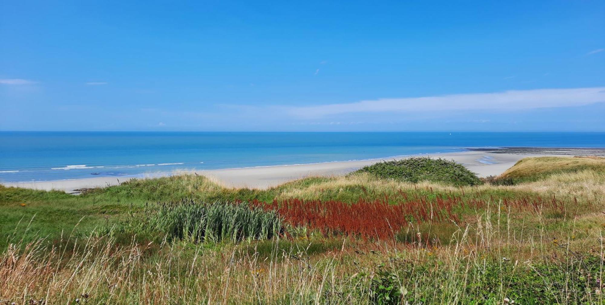 Le 246 - Duplex Face A La Mer Pour 4 Personnes, Wifi, Tv Full Sat, Parking Wimereux Zewnętrze zdjęcie